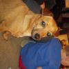 View the image: DSCN1916