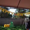 View the image: DSCN2559