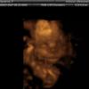 View the image: IMAGES_49