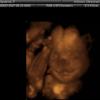 View the image: IMAGES_5