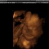 View the image: IMAGES_6