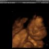 View the image: IMAGES_7
