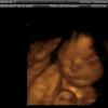 View the image: IMAGES_8