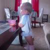 View the image: DSCN1775