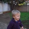 View the image: DSCN1860