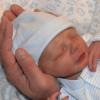 View the image: 8_4972198