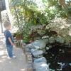 View the image: 2010-10-02 11.56.35