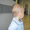 View the image: DSCN1453_1024x768