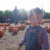 View the image: DSCN1949