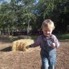 View the image: DSCN1950