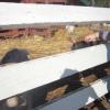 View the image: DSCN1951