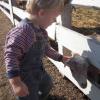 View the image: DSCN1952