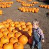 View the image: DSCN1970