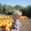 View the image: DSCN1971