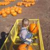 View the image: DSCN1975