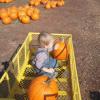 View the image: DSCN1976