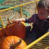 View the image: DSCN1984