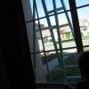 View the image: DSCN2895