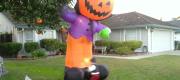 View the Album: halloween_10
 26 images
