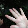 View the image: 2010-04-16 17.04.50