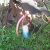 View the image: DSCN1287_800x600