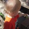 View the image: DSCN1290_800x600