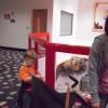 View the image: DSCN1176_800x600