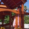 View the image: DSCN1676