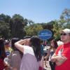 View the image: DSCN1693