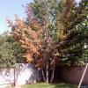 View the image: 2010-04-25 15.08.03