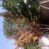 View the image: 2010-04-25 15.08.12