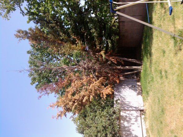 2010-04-25 15.08.12