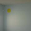 View the image: 2010-10-06 16.20.49