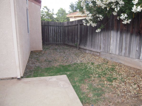 Ease side of the house