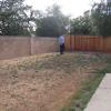 View the image: Back yard