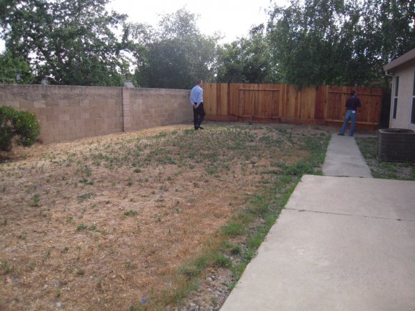 Back yard