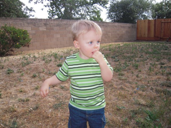 Colin in his new back yard