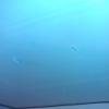 View the image: 2010-11-07 18.16.04