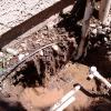 View the image: 2010-07-27 14.16.18