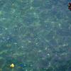 View the image: DSCN2212