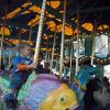 View the image: DSCN2236