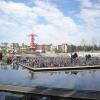 View the image: DSCN2238