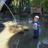 View the image: DSCN2240