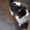 View the image: DSCN2264