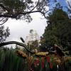 View the image: DSCN2275