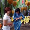 View the image: DSCN2276