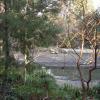 View the image: DSCN2283