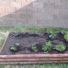 View the image: 2010-05-15 17.50.50