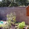 View the image: 2010-07-31 11.16.16
