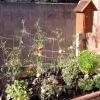 View the image: 2010-08-05 09.04.06